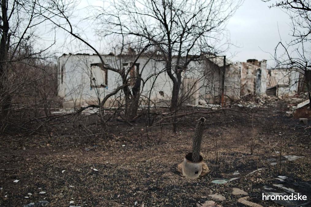 Заброшенный сад и дома в Новоалександровке. Фото: Макс Левин / hromadske