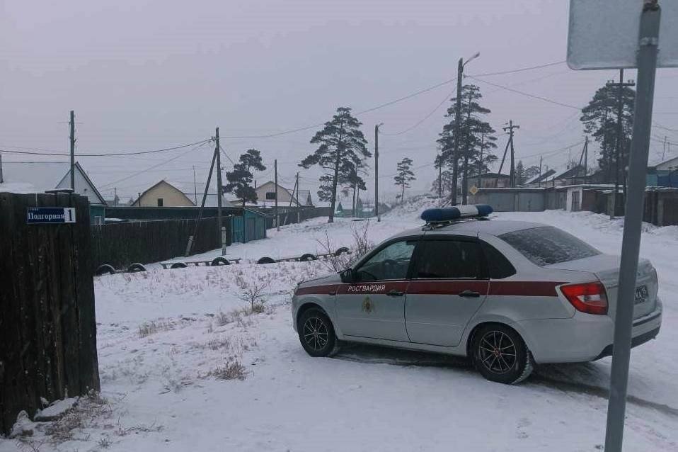 Онохой. Фото: официальный городской тг-канал