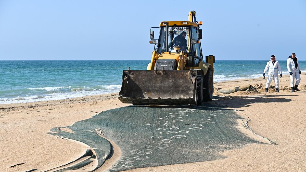 «Где ж тот пляж? С золотым песком!»