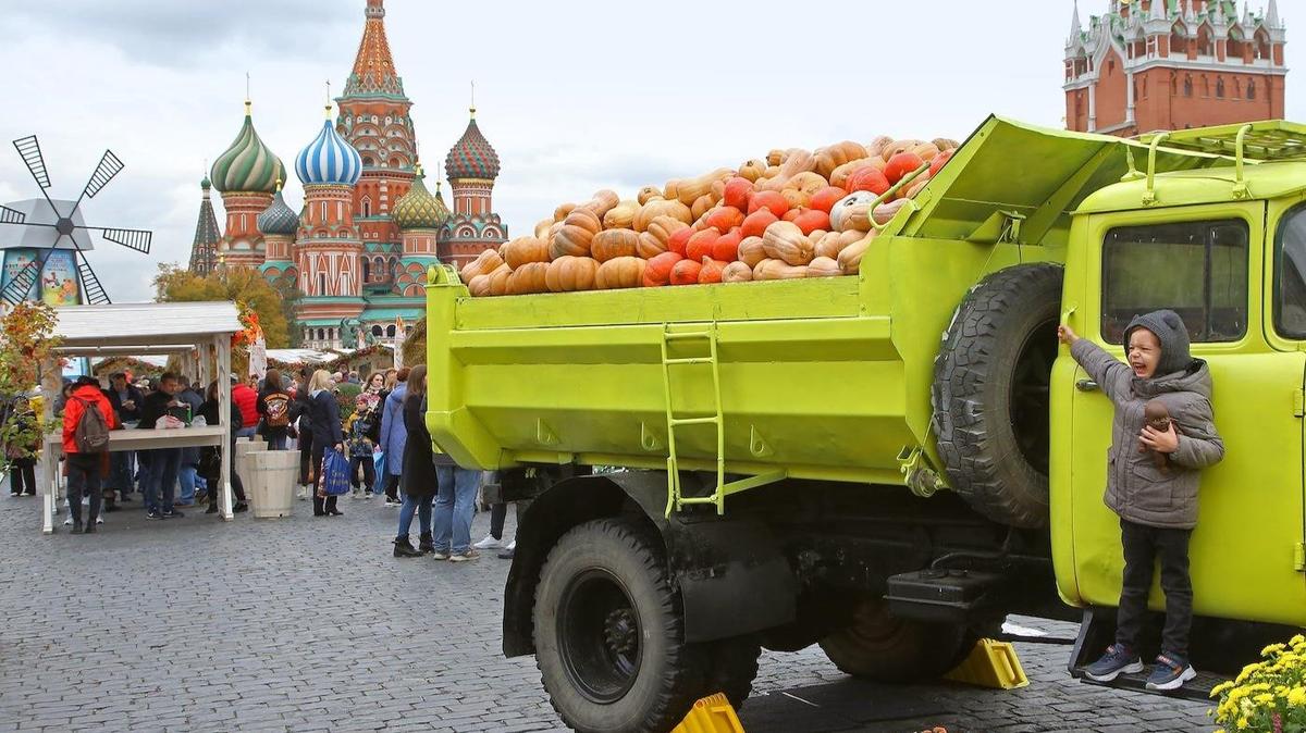Крокодил-«иноагент», реклама для марсиан и война с тыквами
