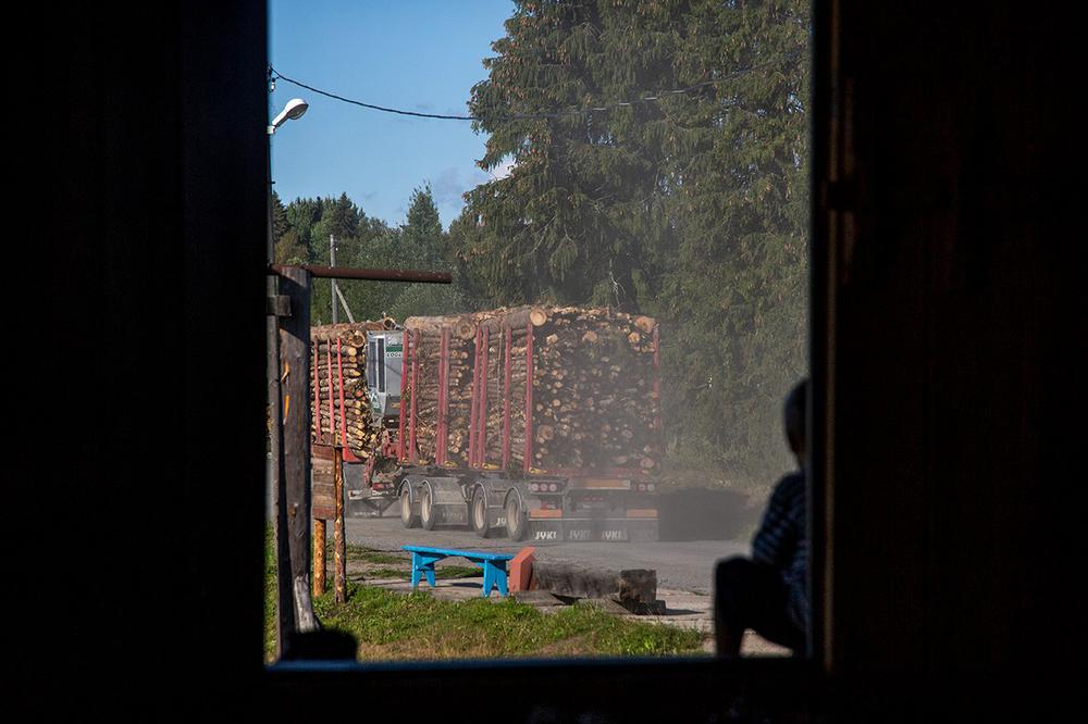 Вид из дома на деревенскую дорогу. Фото: Алексей Душутин / «Новая»