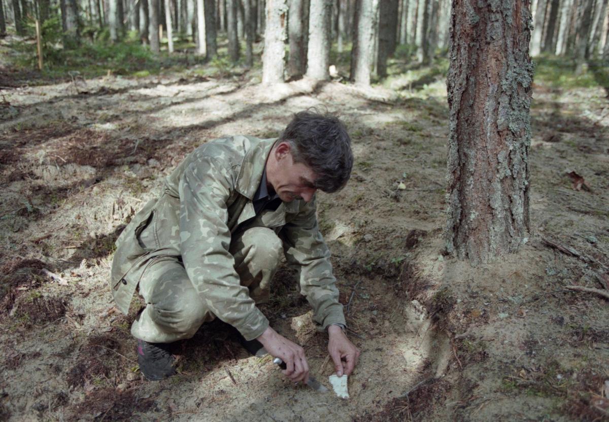 Юрий Дмитриев на раскопках. Фото: Семен Майстерман / Фотохроника ТАСС