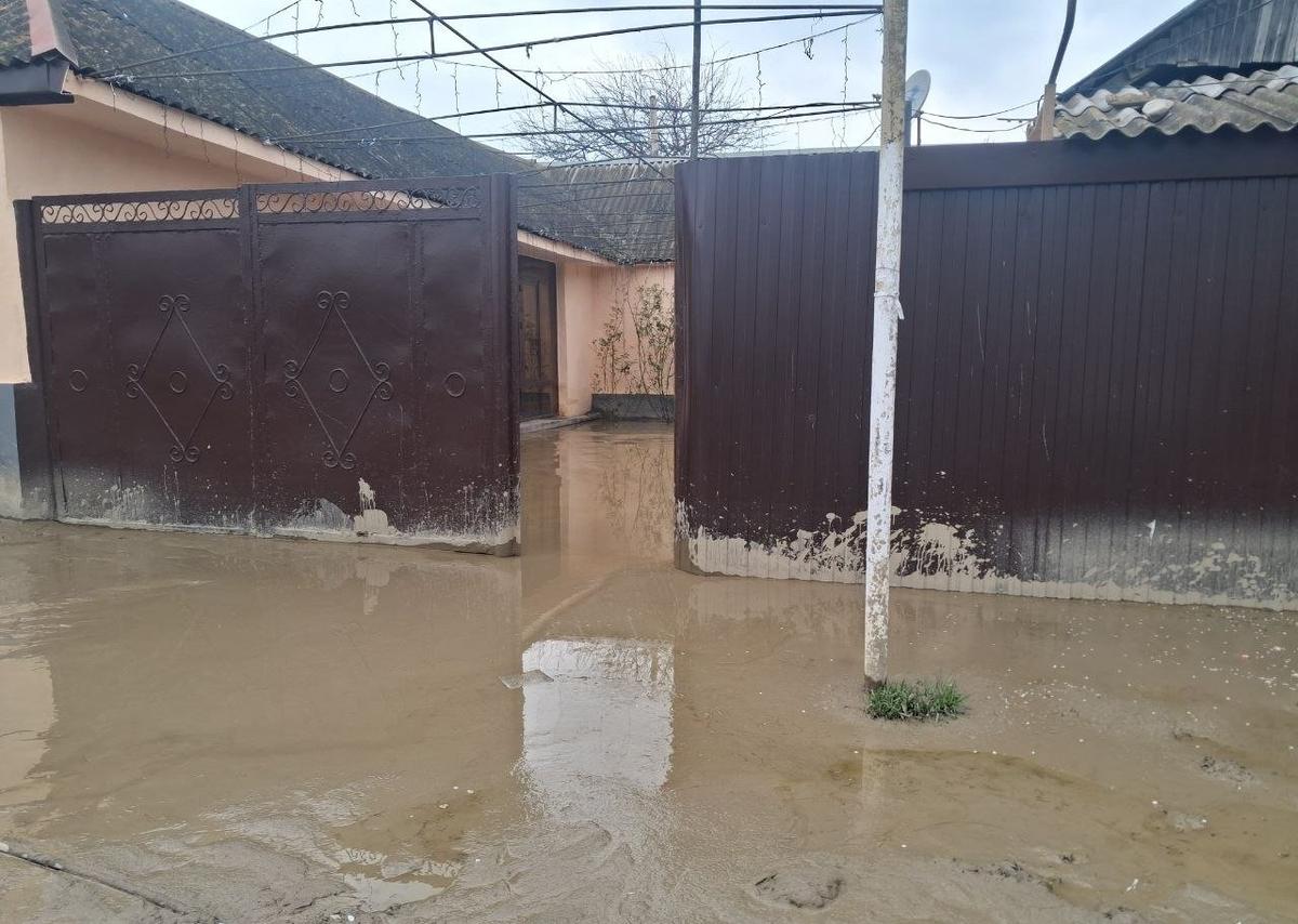 Фото: Игорь Стрельцов