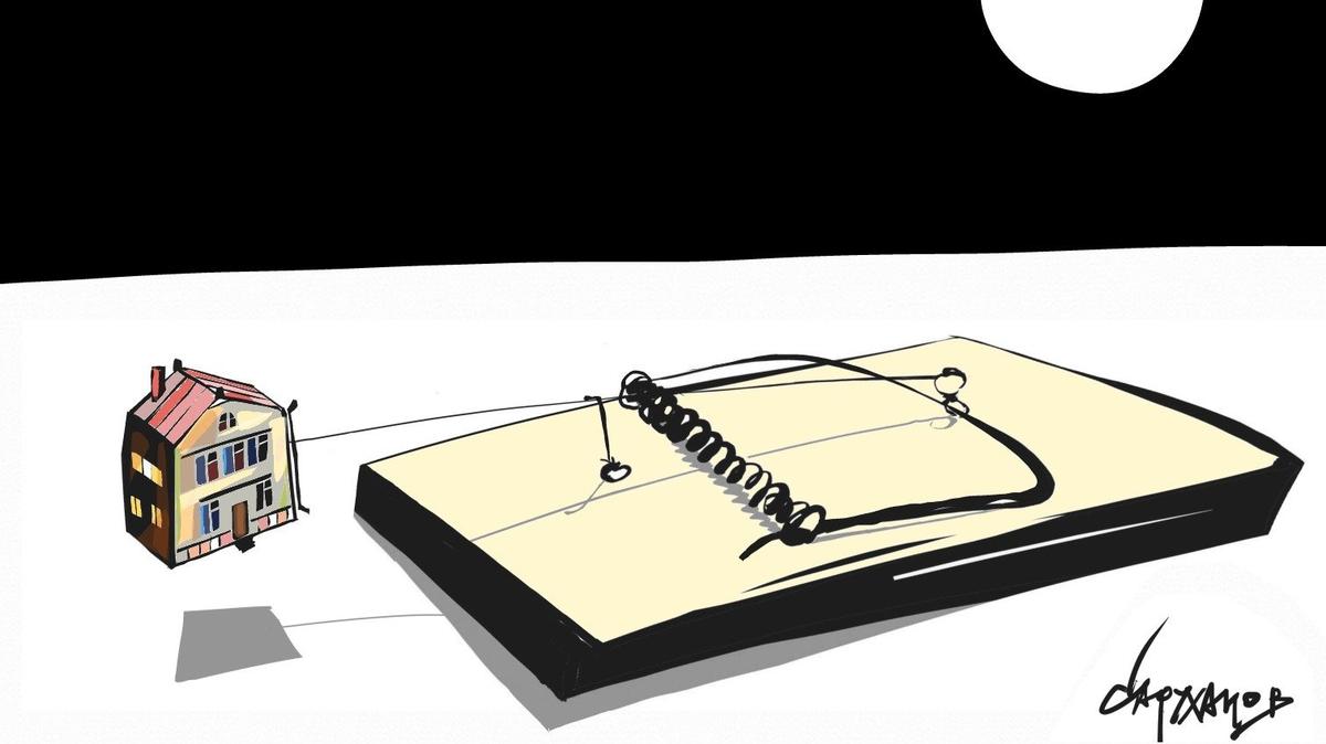 Кошку жалко