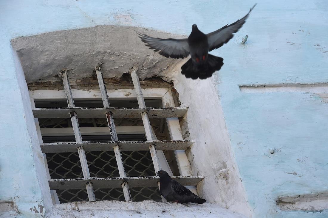 Фото: Дмитрий Лебедев / Коммерсантъ