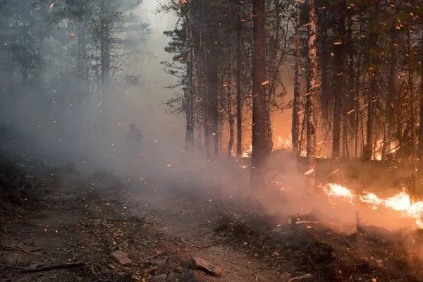 Горящий лес на Байкале. Август 2015 года Фото: Юрий КОЗЫРЕВ — «Новая»