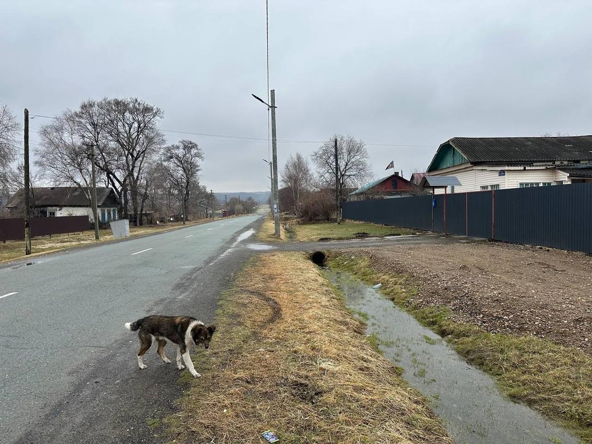 Село Красный Яр. Фото: Валерия Федоренко / «Новая газета»