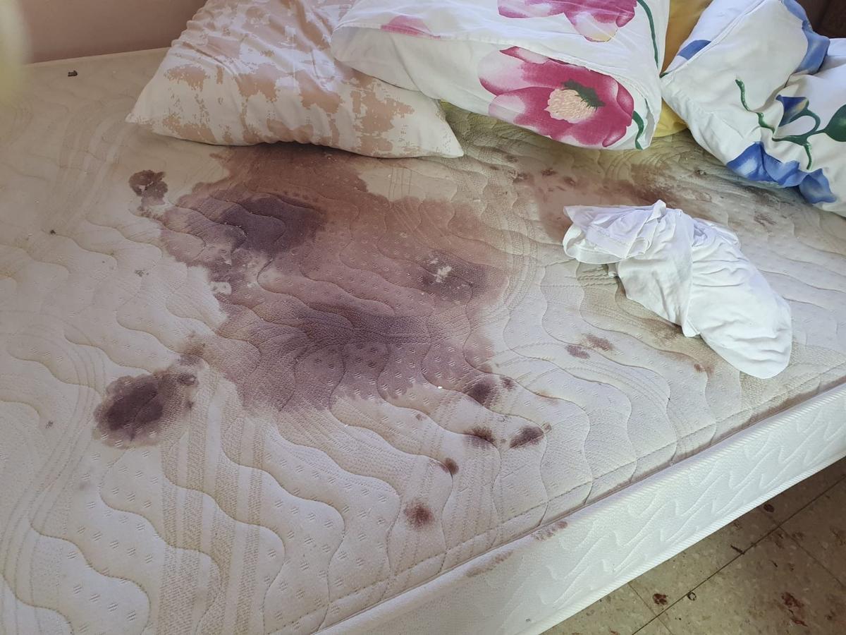 Фото: Евгений Левин