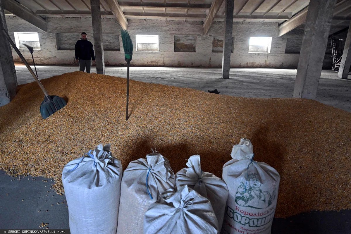 Непроданное зерно. Фото: SERGEI SUPINSKY / AFP / East News