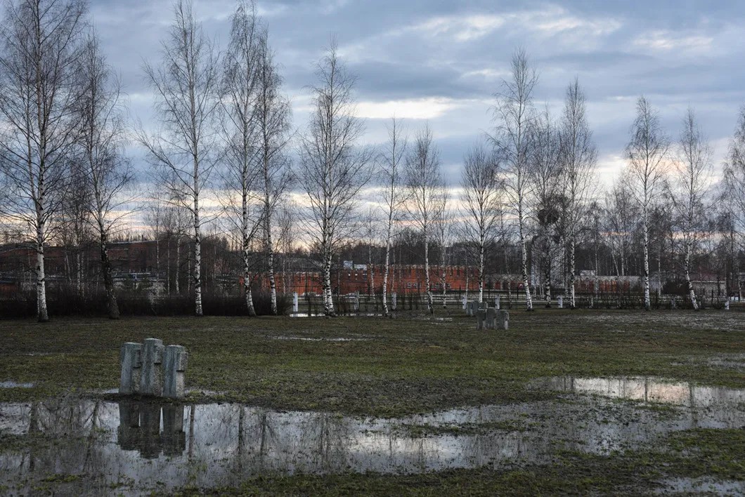Вид на красноармейское кладбище с немецкого. Ржев. Фото: Виктория Одиссонова / «Новая»