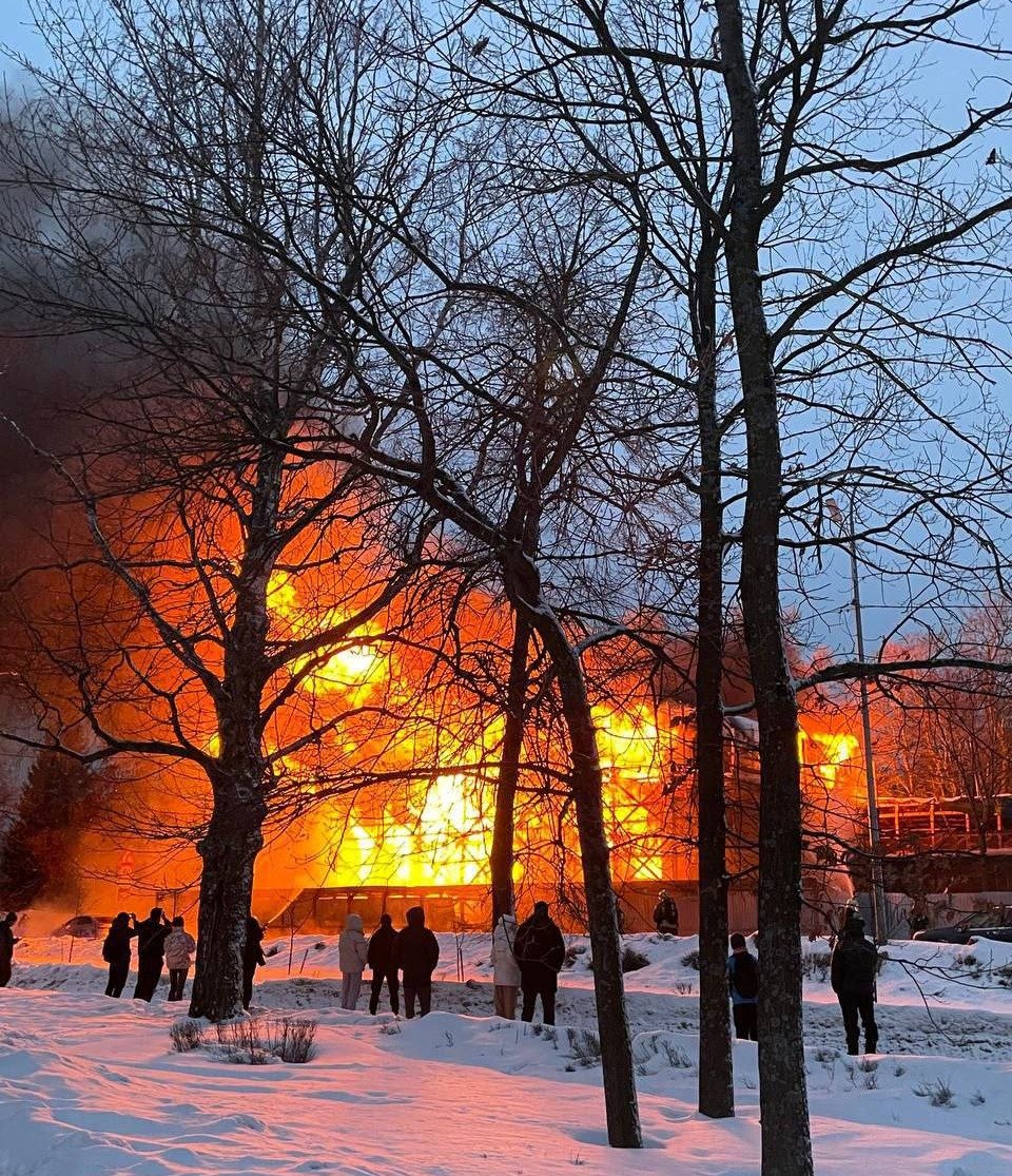 Фото: предоставлены автором