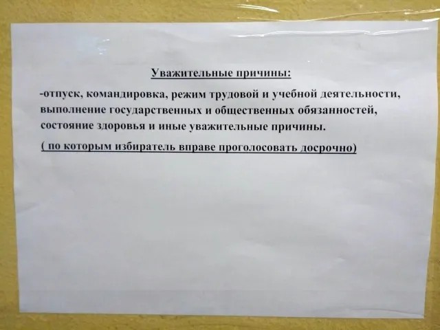 Справочная информация для пожелавших проголосовать досрочно. Фото: Кузьмолово.Live / vk.com