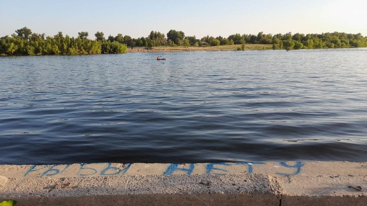 Ахтуба. Обманка для рыбаков-конкурентов. На самом деле рыба тут есть всегда. Фото: Николай Щербаков