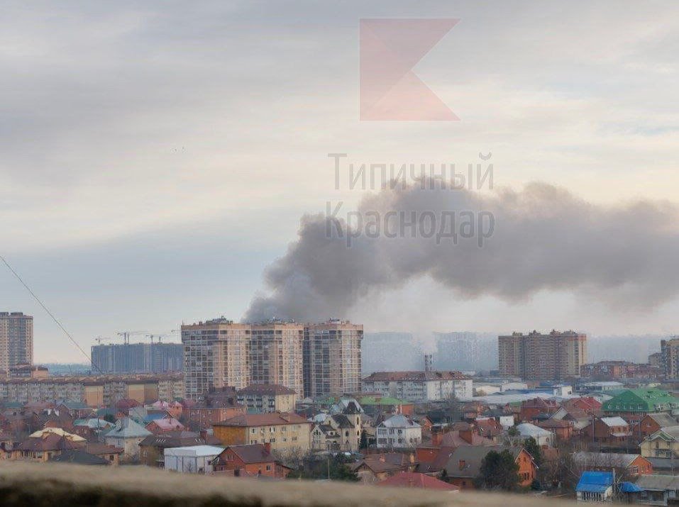 Фото: «Типичный Краснодар»