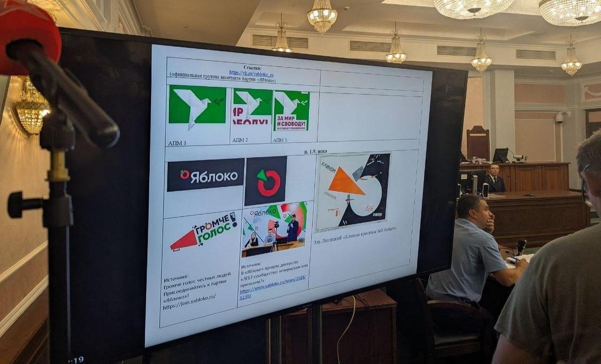 Фото: пресс-служба партии «Яблоко»