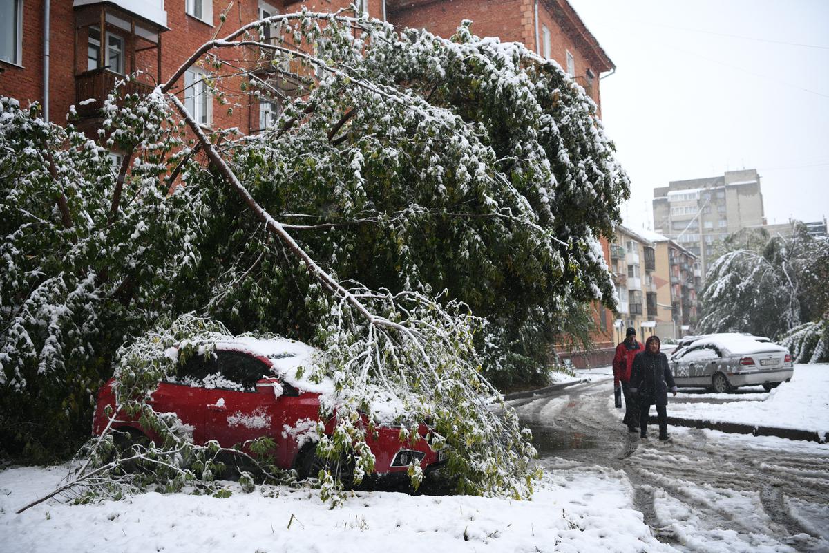 Кемерово. Сломанные ветви деревьев в результате обильного снегопада. Фото: Александр Патрин / РИА Новости