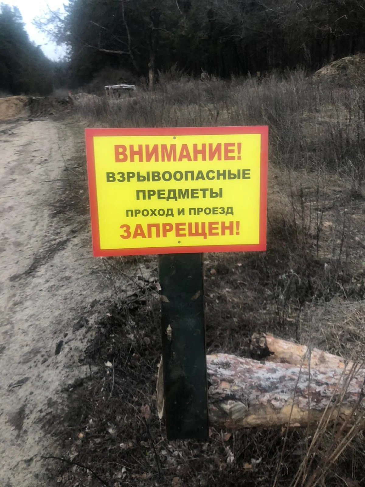 Фото: соцсети администрации города Острогожска