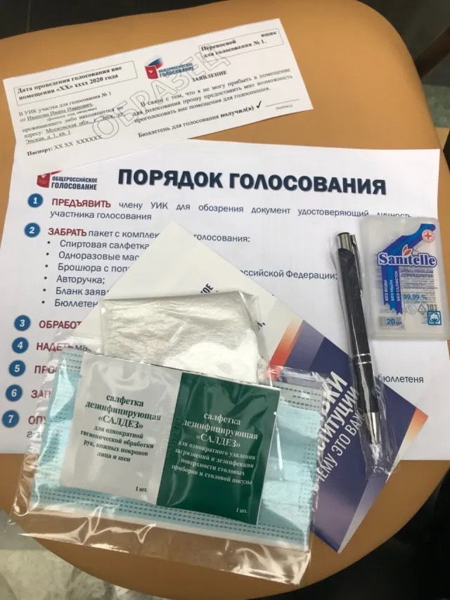 Пакет сборщика голосов на дому. Фото: РИА Новости