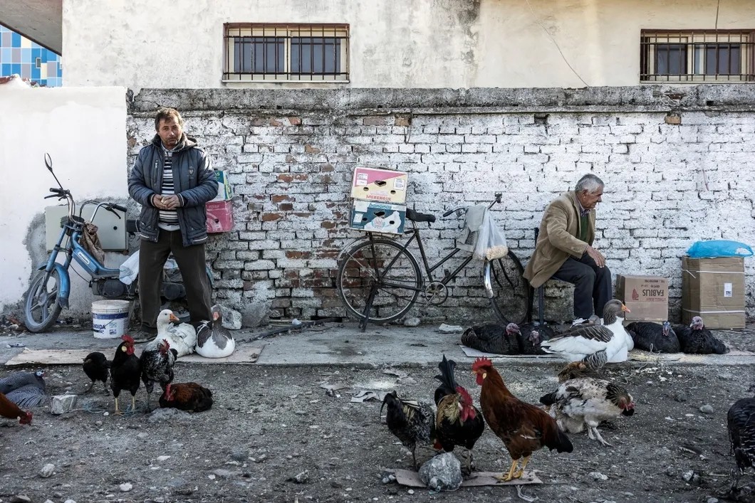 Повседневная жизнь в Албании. Фото: РИА Новости