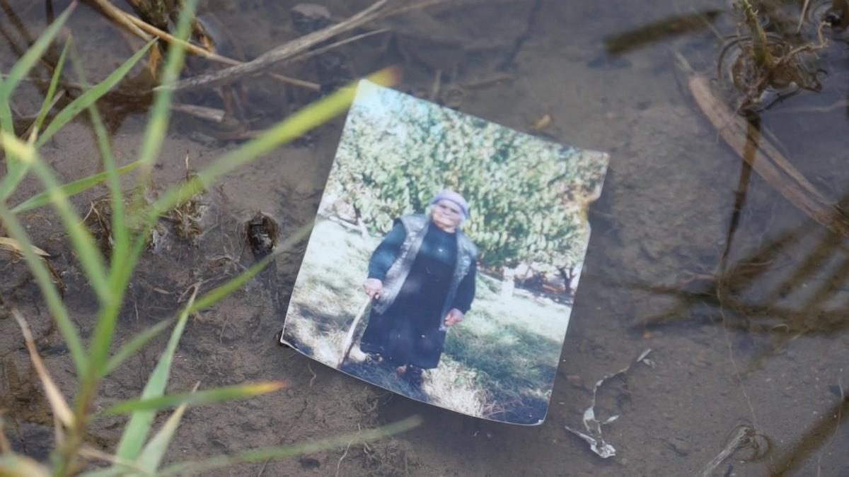 Кадр из фильма «Дерево»