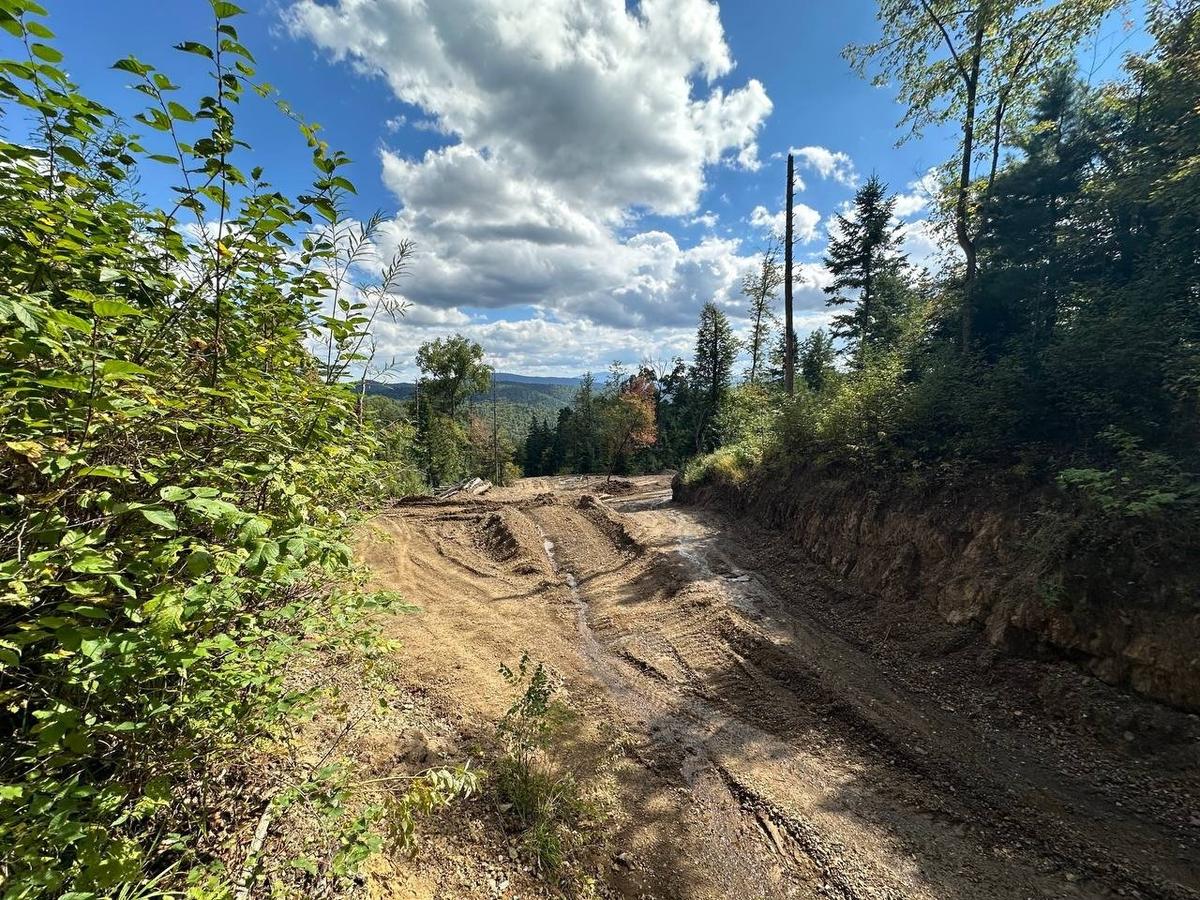 Следы тяжелой техники в нацпарке. Фото: Валерия Федоренко / «Новая газета»