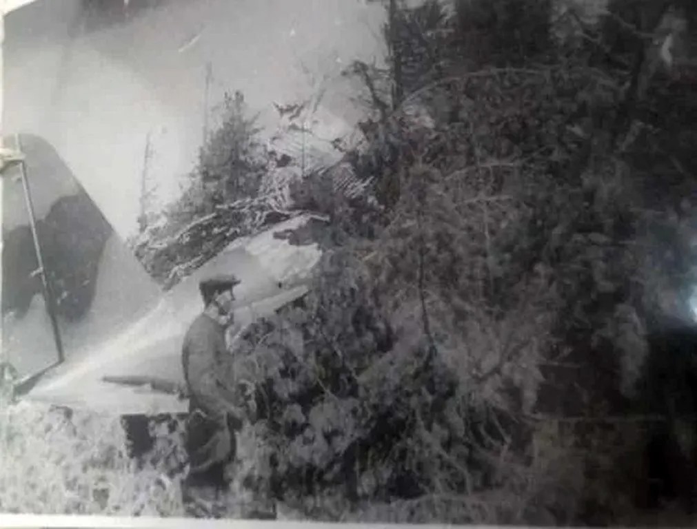 Останки самолета, разбившегося с Матвеем Шенкманом на борту. Фото из архива