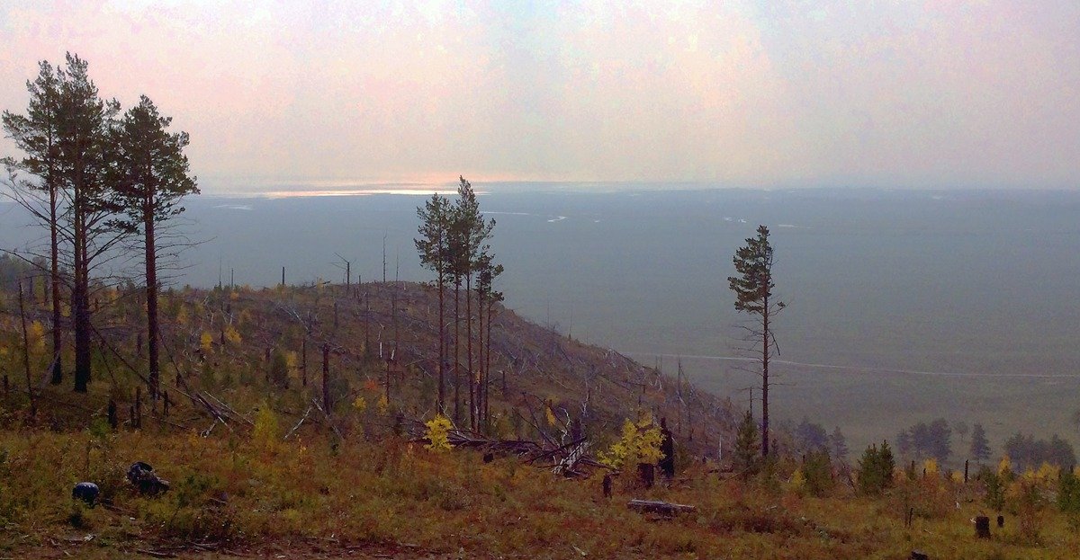 Байкальские гари. Фото: А. Никифоров