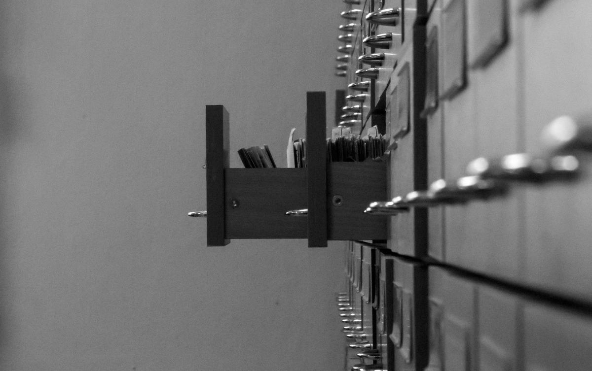 Фото: Ярослав Чингаев / ТАСС