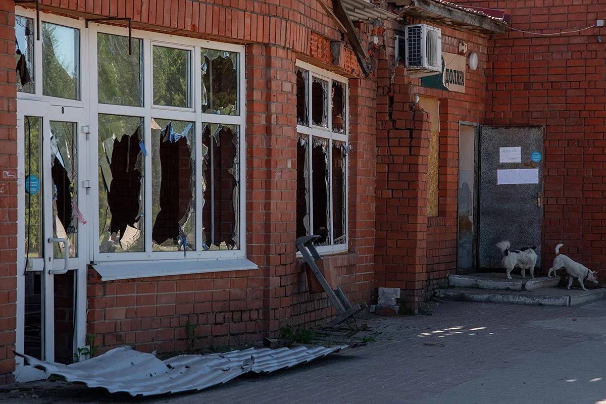 Мы стали Донецком». Белгородский журналист Никита Парменов — о наступлении,  эвакуации, заканчивающихся деньгах на компенсации и ощущении, что Россия не  понимает трагедию Белгорода — Новая газета