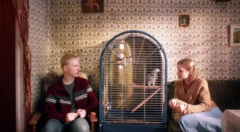 Кадр из фильма «Мальчик-птица»