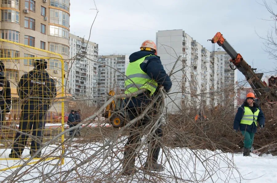 5 февраля рабочие начали рубить деревья на территории строительной площадки . Фото: Зинаида Бурская / «Новая газета»