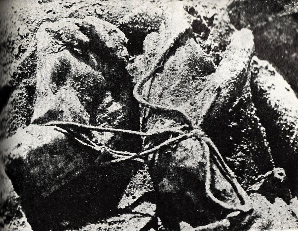 «Белые плетёные шнуры» (по описанию Сообщения комиссии Бурденко, которыми были связаны жертвы в Катыни. Фото: википедия