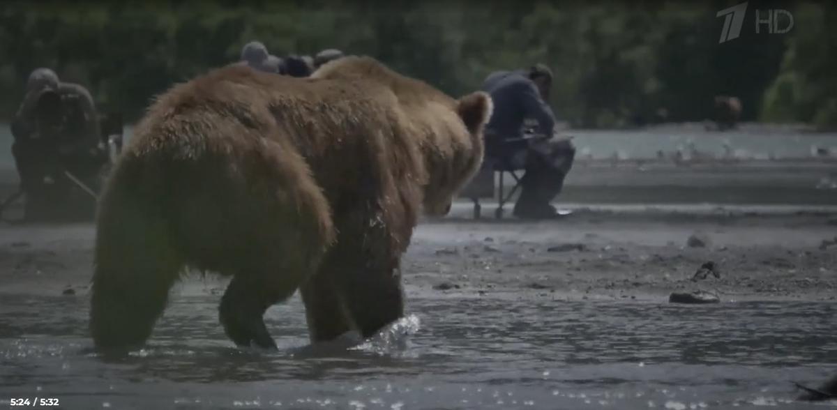 Кадр из новостей Первого канала от 1 октября