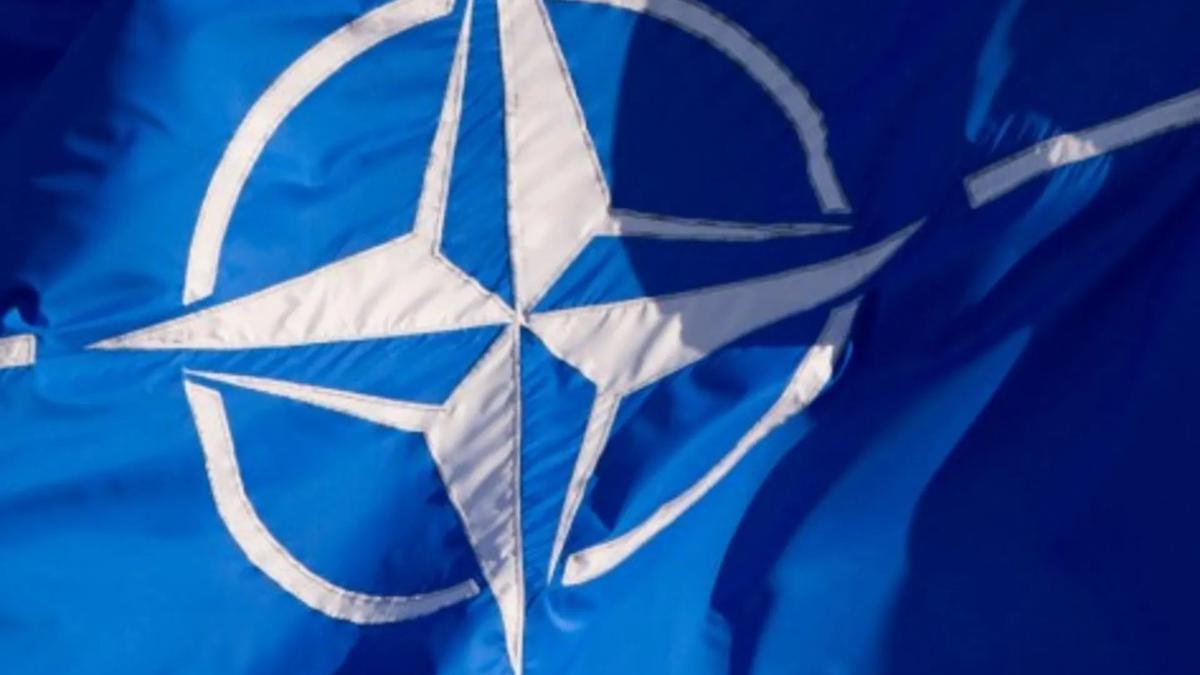 «Мы хотим от России только дешевый газ, остальное является русской паранойей»