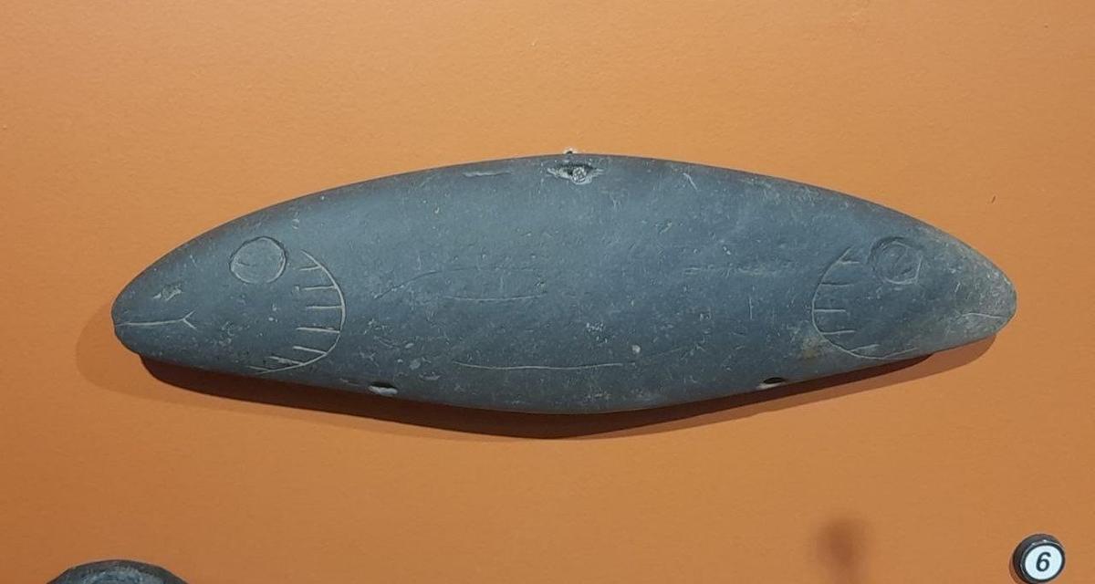 Янусовидная каменная рыба в Красноярском краеведческом музее. Фото из личного архива