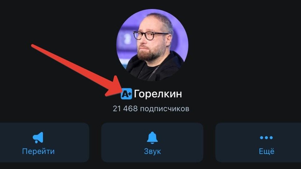 Скриншот профиля депутата Горелкина со значком «А+» от бота, который якобы подтверждает наличие канала в реестре РКН