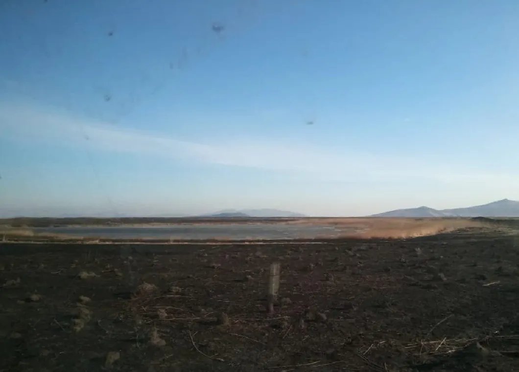 Выгоревшая территория парка. Фото предоставлены Андреем Барсуковым