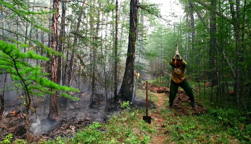 Лесные пожары 2019 г. Фото: РИА Новости