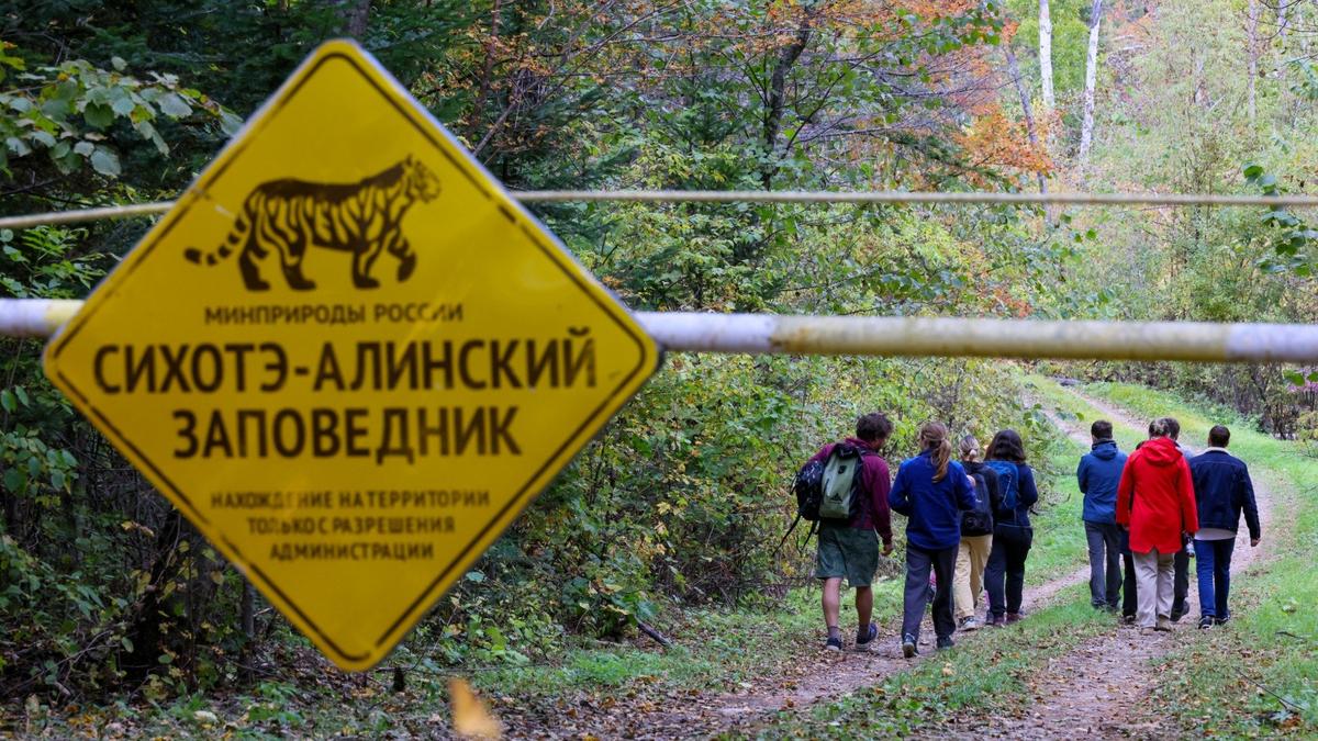 «Глухое» к полосатым