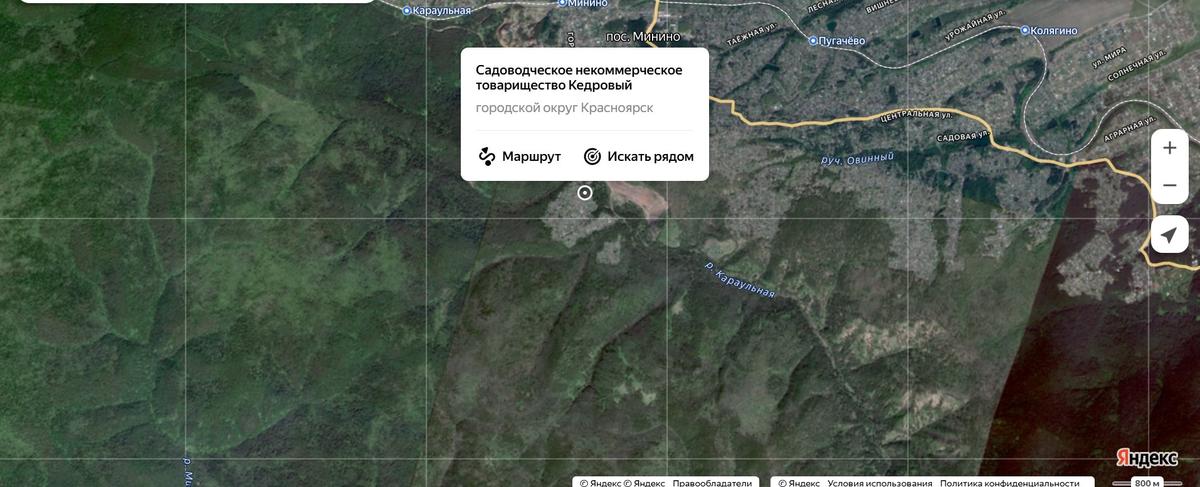 Правый верхний угол — город и дачи, слева и внизу — тайга. СНТ Кедровый как фронтир. Карта Яндекса