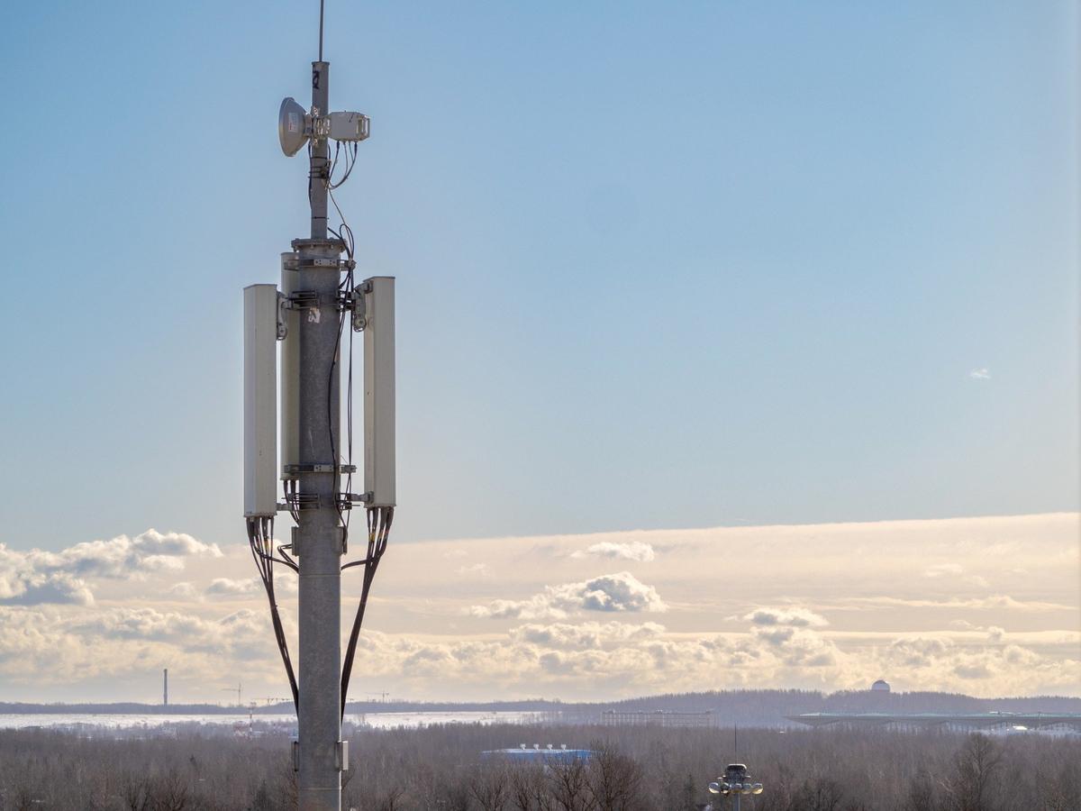 Фото: Семен Лиходеев / ТАСС