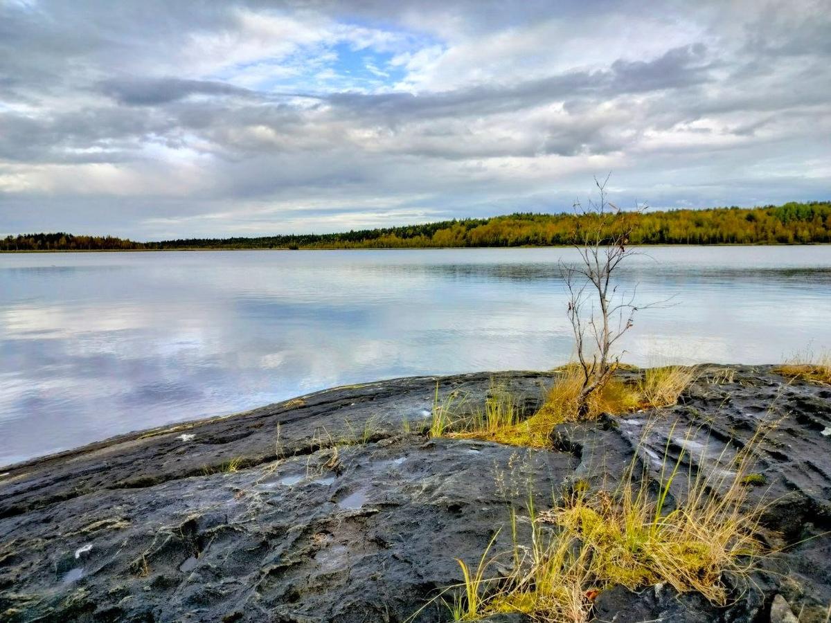 Берег Тунгудского озера. Вид на место, где стояла деревня Лужмаваракка. Фото: Валерий Поташов