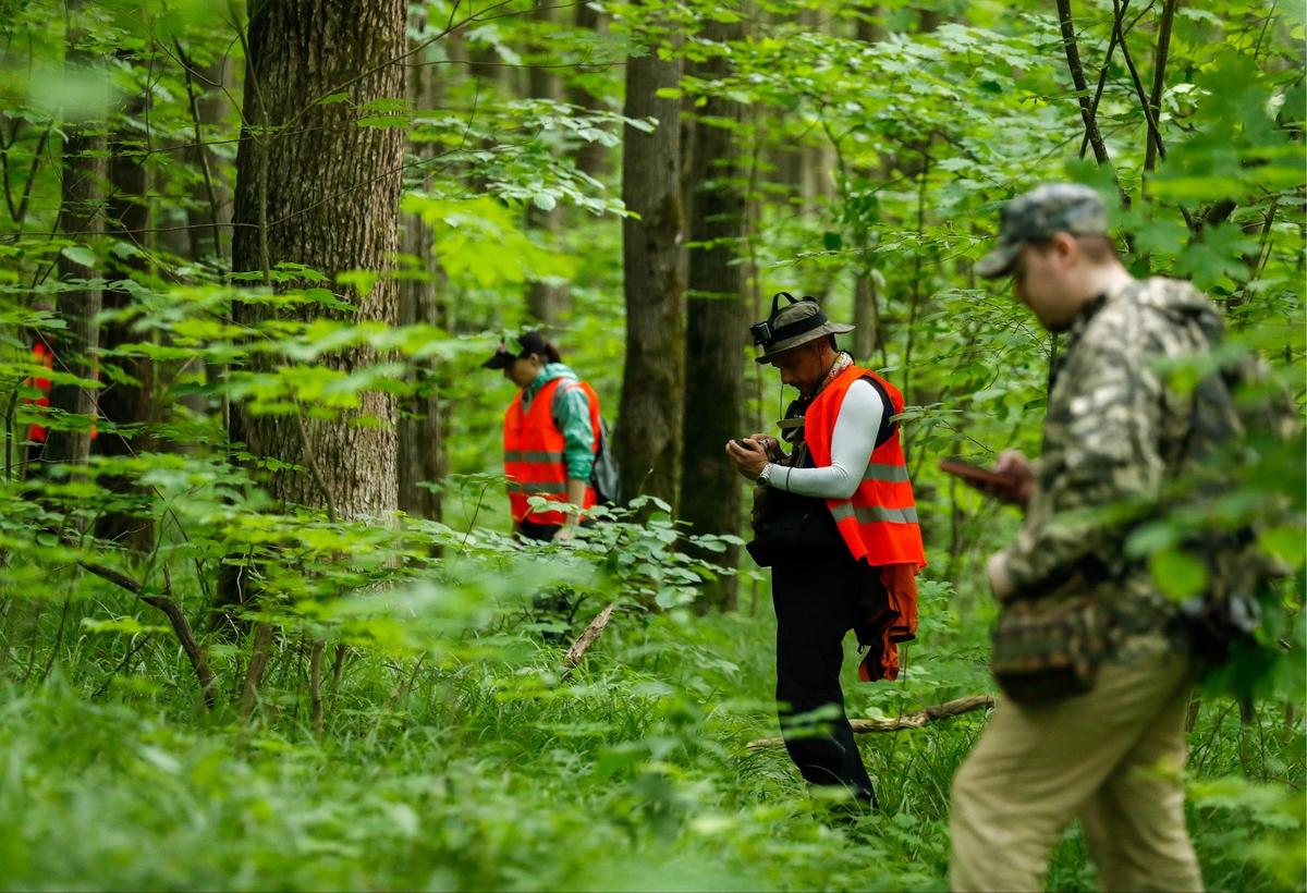 Поисково-спасательный отряд «Лиза Алерт». Фото: Артем Геодакян /ТАСС
