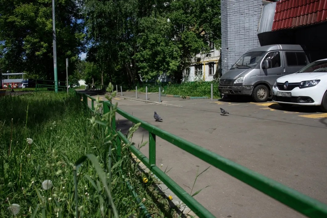 Место, где полиция задержала Пашу на велосипеде. Фото: Виктория Одиссонова / «Новая газета»