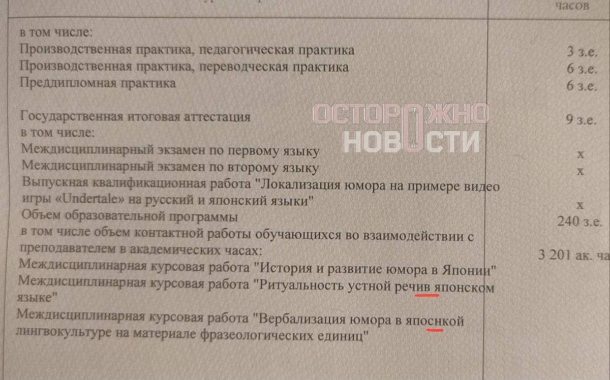 Кадр вкладыша к диплому с опечатками. Фото: «Осторожно, новости»