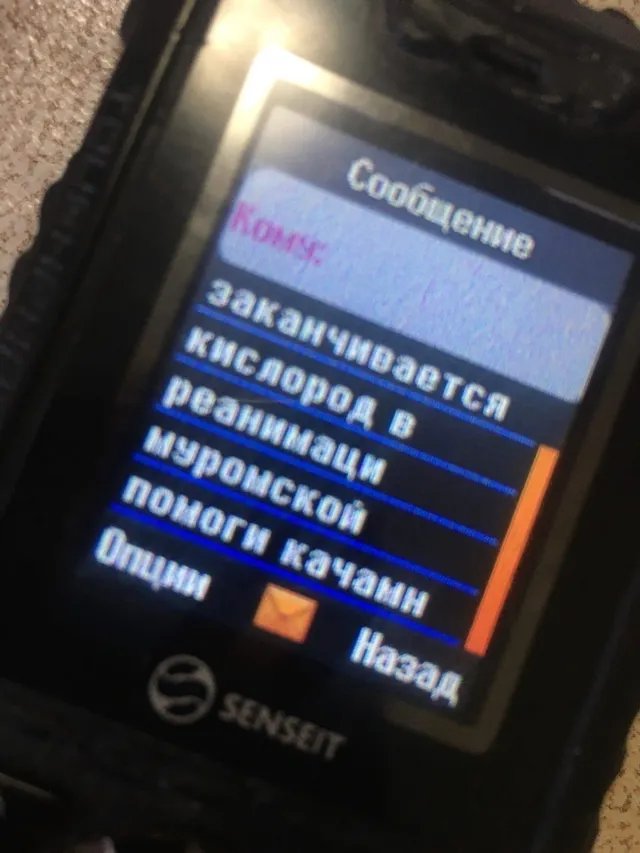 Последняя SMS от Геннадия Качана из больницы