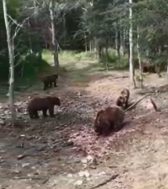 Кадр из предыдущего видео десятых годов. Соцсети
