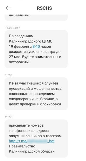 Скриншот «Новой» предоставили жители Калининграда
