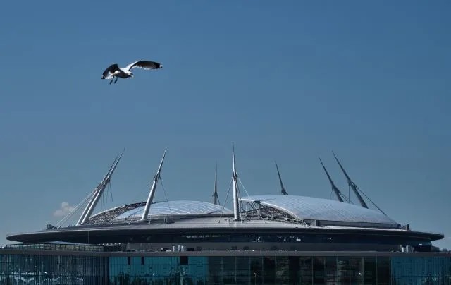 Баклан и «Зенит-арена». Фото: РИА Новости