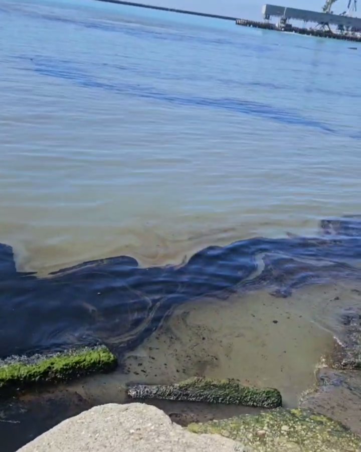 Скриншот с видео Евгения Витишко